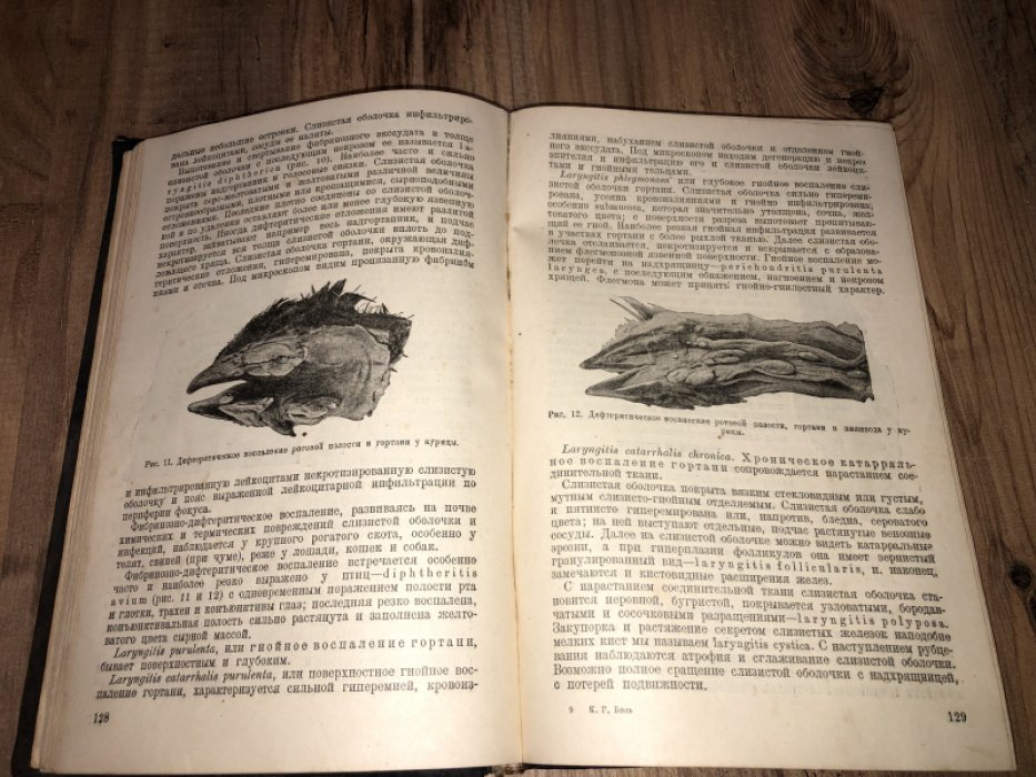 Боль К.Г. (Профессор) Основы патологической анатомии домашних млекопитающих и птиц.