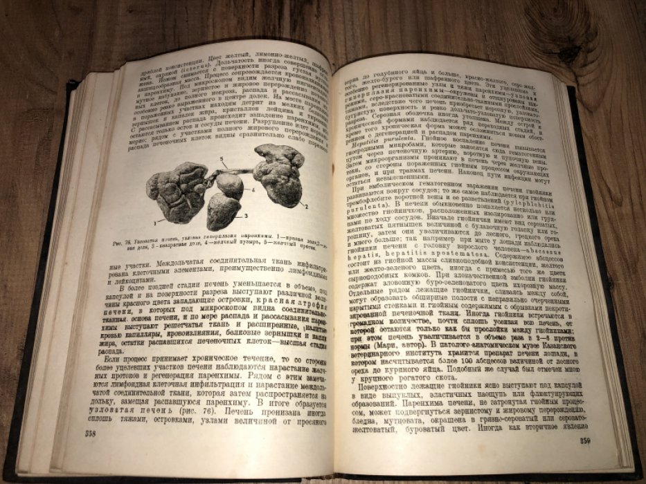 Боль К.Г. (Профессор) Основы патологической анатомии домашних млекопитающих и птиц.