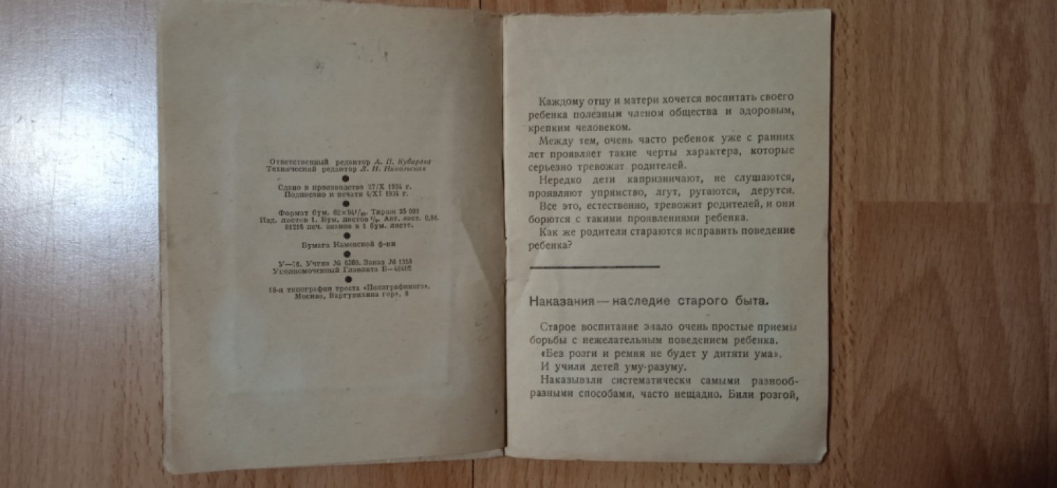 Радина Е.И. Почему нельзя наказывать детей.