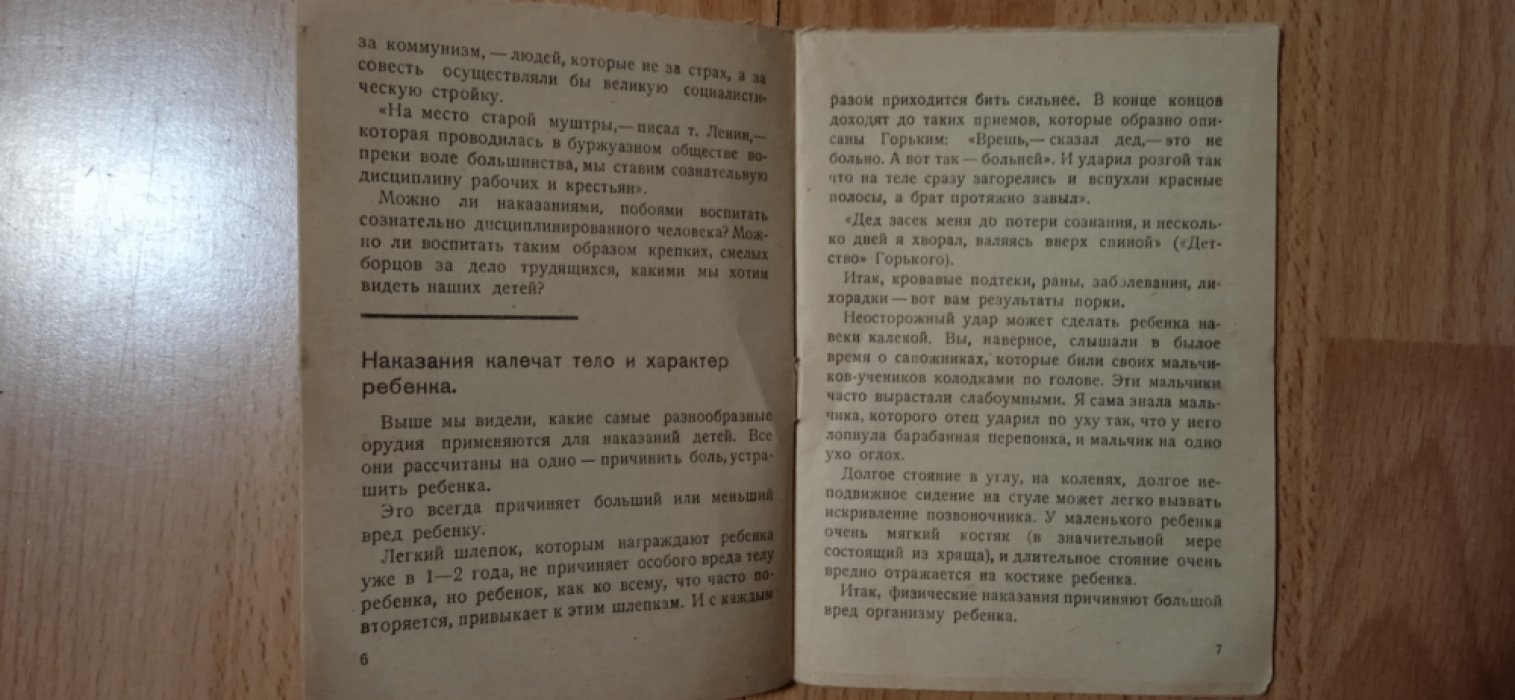Радина Е.И. Почему нельзя наказывать детей.