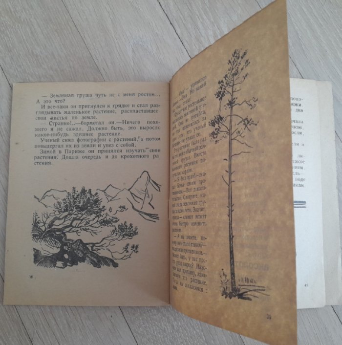 Плавильщиков Н. Климат командир.