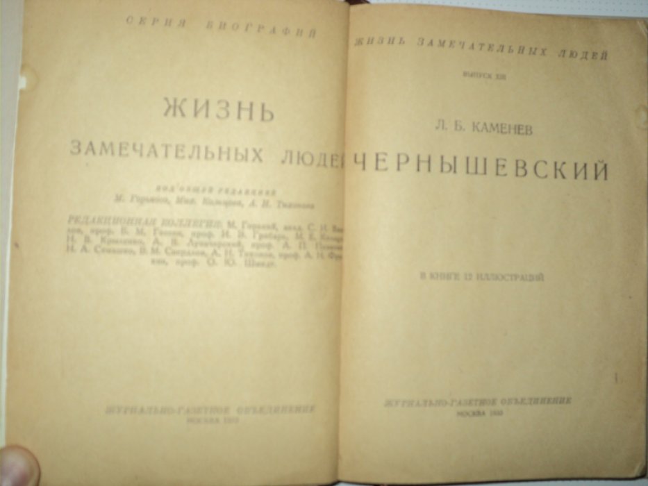Каменев Л. Чернышевский.