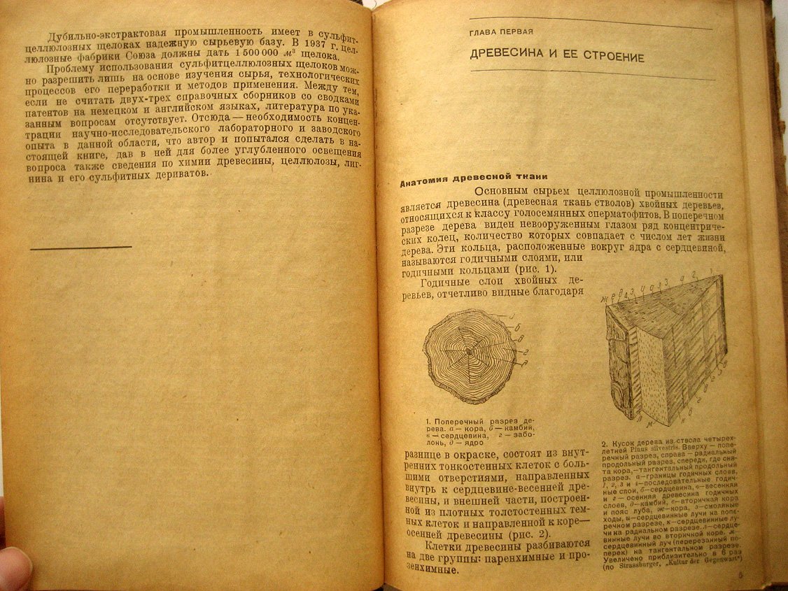 Резник Л. Сульфитцеллюлозные экстракты.