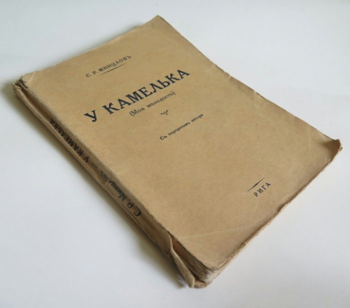 Минцлов С. У камелька (Моя молодость).