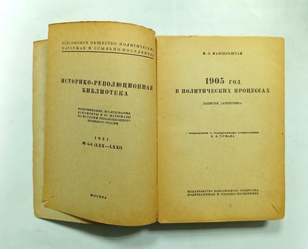 Мандельштам, М.Л. 1905 г. В политических процессах.