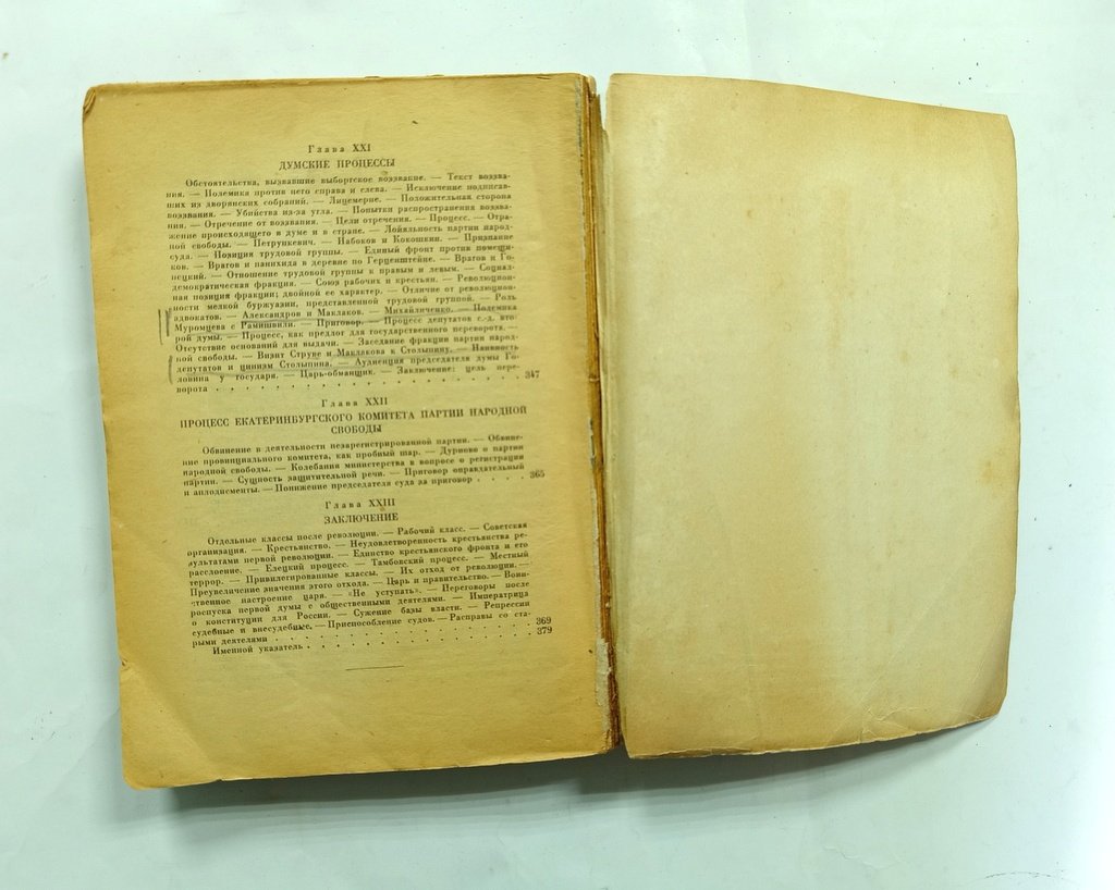 Мандельштам, М.Л. 1905 г. В политических процессах.