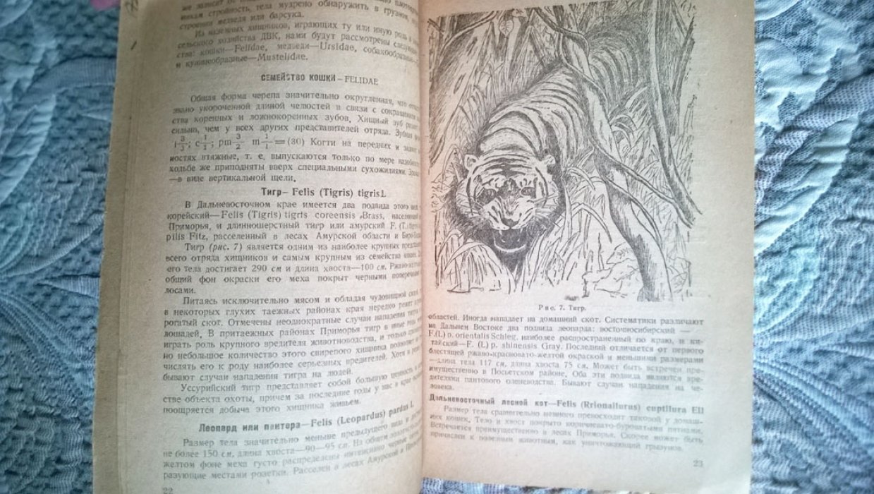 Плятер-Плохоцкий К. Вредные и полезные животные в сельском хозяйстве ДВК (Дальне-Восточного Края).
