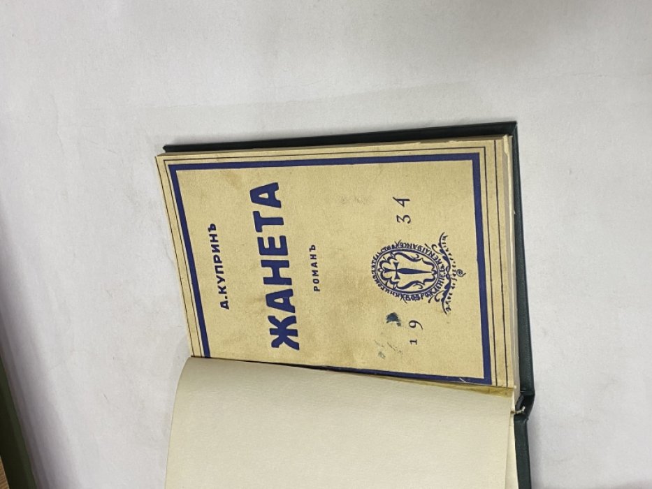 Куприн А. Жанета (Принцесса четырех улиц). Роман.