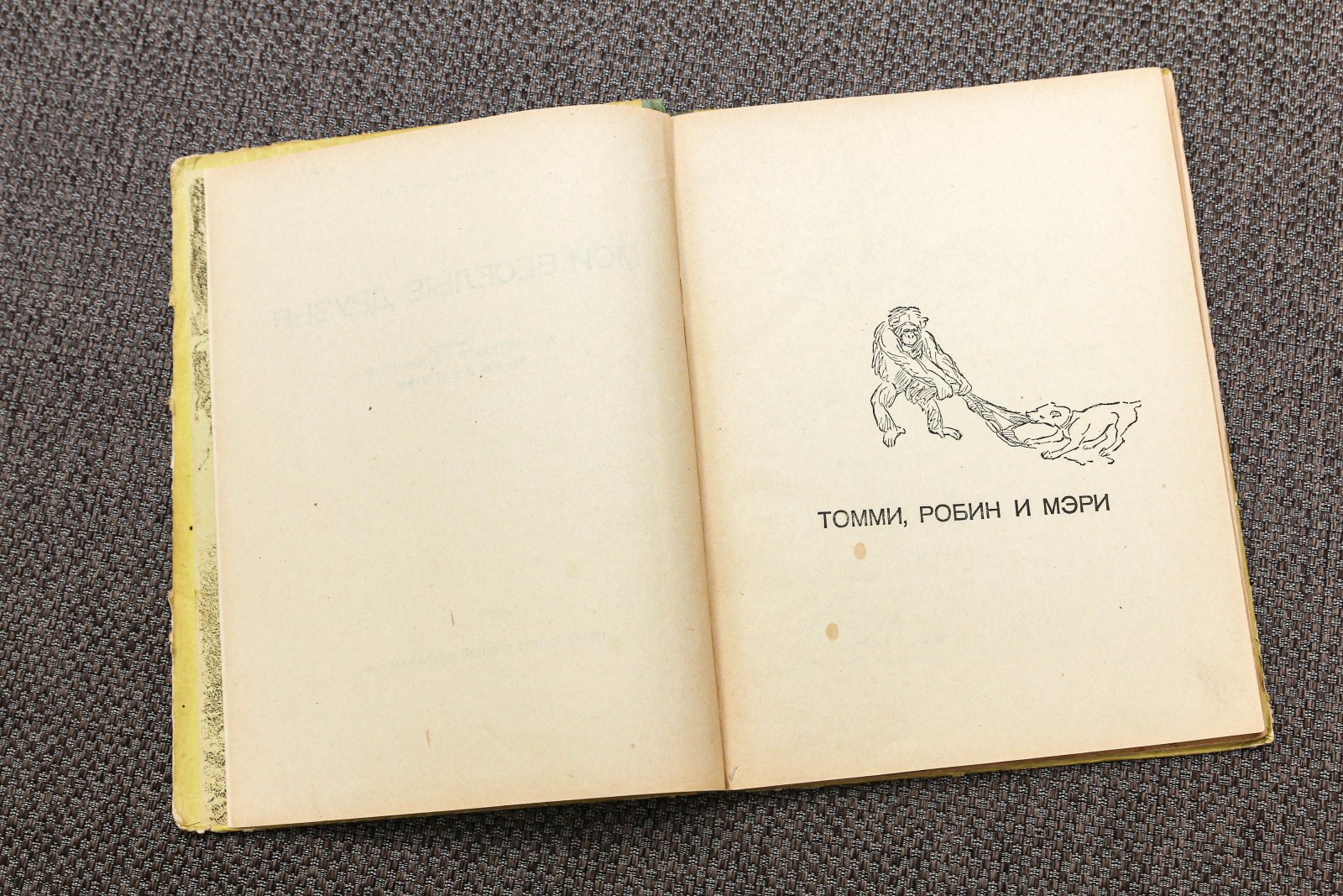 Киртон, Ч. Мои веселые друзья.