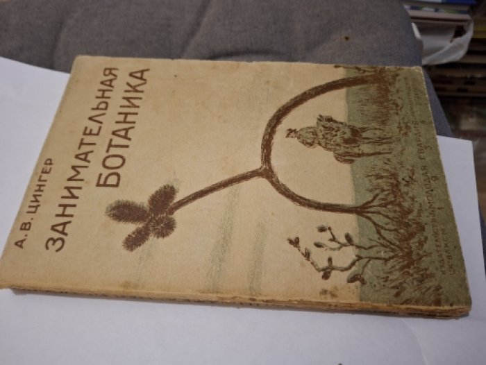 Цингер А.В. Занимательная ботаника.