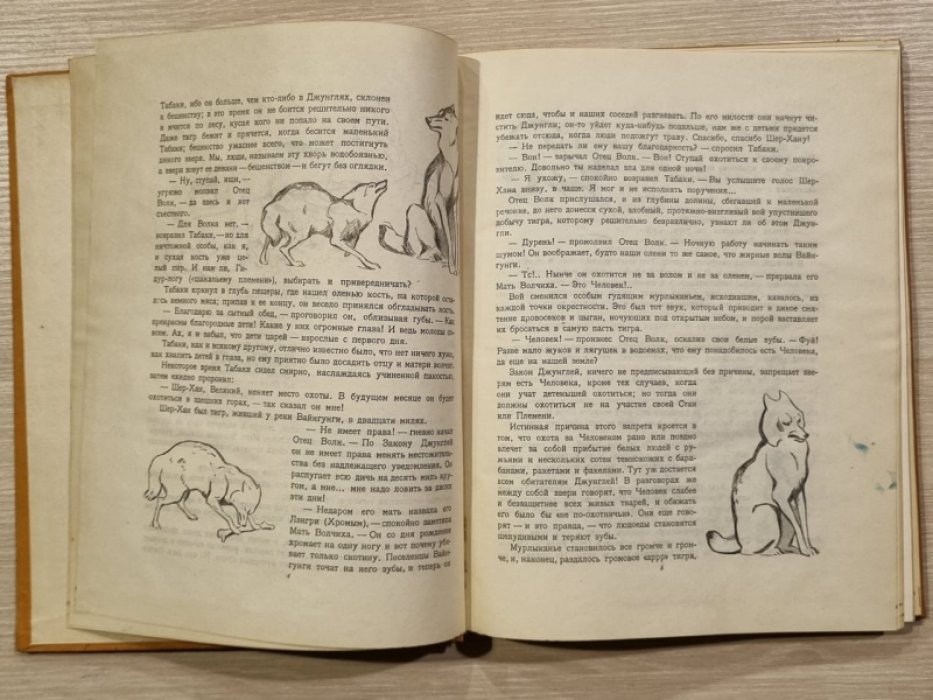 Киплинг Р. Маугли. Из книги джунглей.