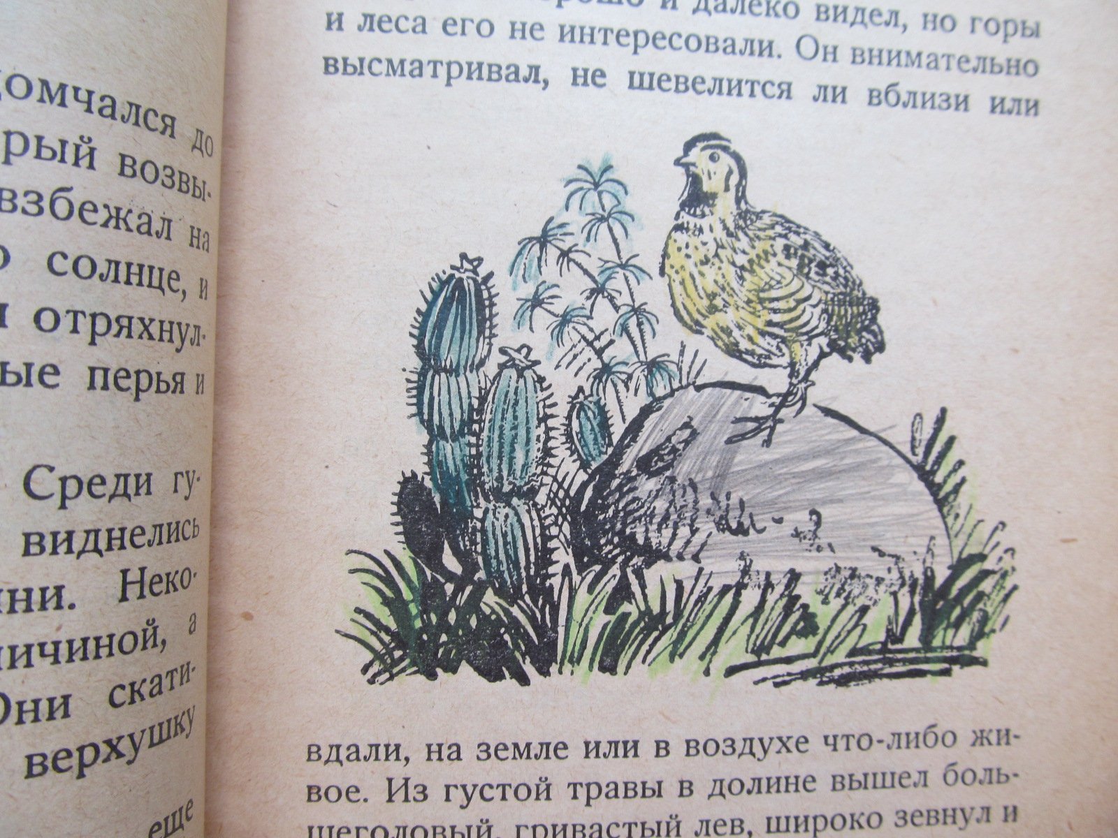 Жилкин И. Перепела. Рисунки Б. Покровского