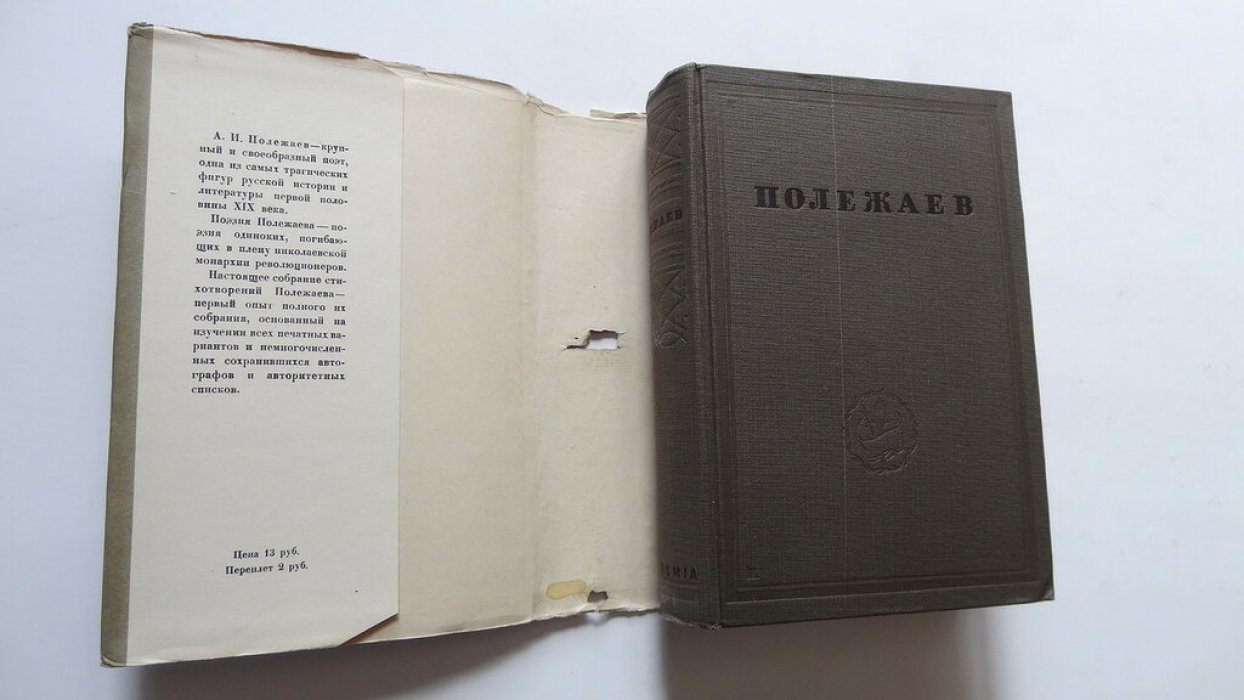 Полежаев А. И. Стихотворения.
