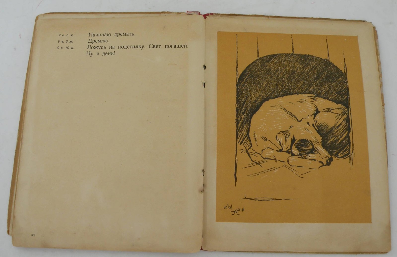 Эмануэль В. Бобкин день. Что рассказала бы собачка, если бы умела говорить и писать.