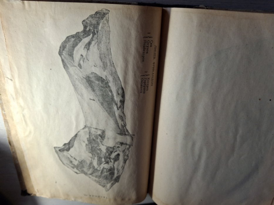 Мюллер Н. К. Белотелов С.А. Основы кулинарной техники.