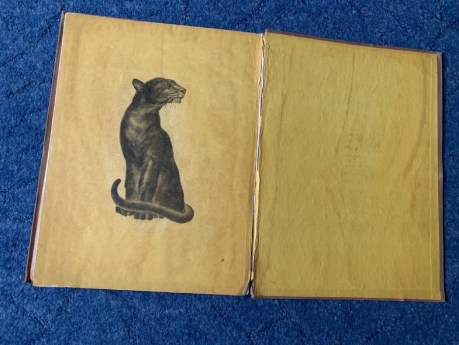 Киплинг Р. Маугли. Из книги джунглей