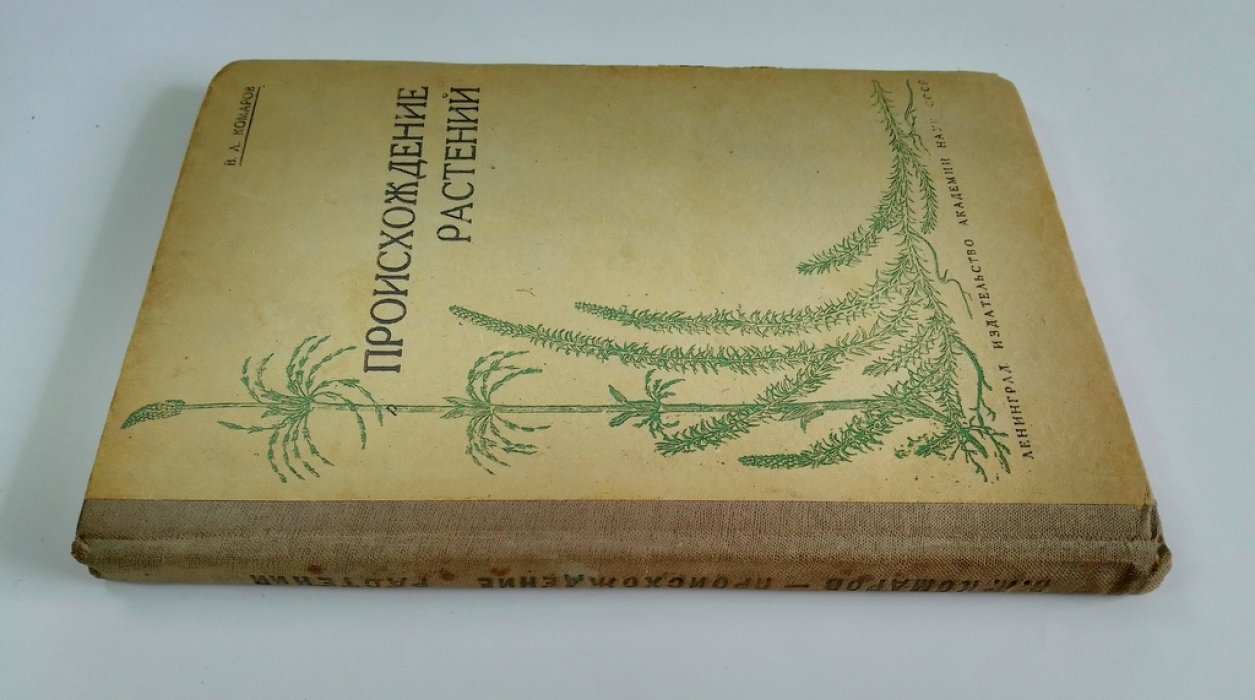 Комаров, В.Л. Происхождение растений.
