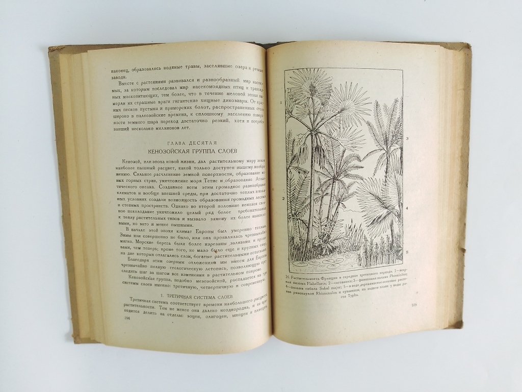 Комаров, В.Л. Происхождение растений.