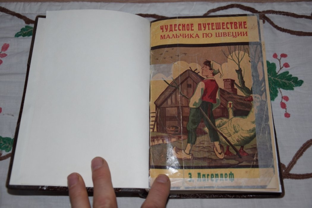 Лагерлеф. Чудесное путешествие мальчика по Швеции.