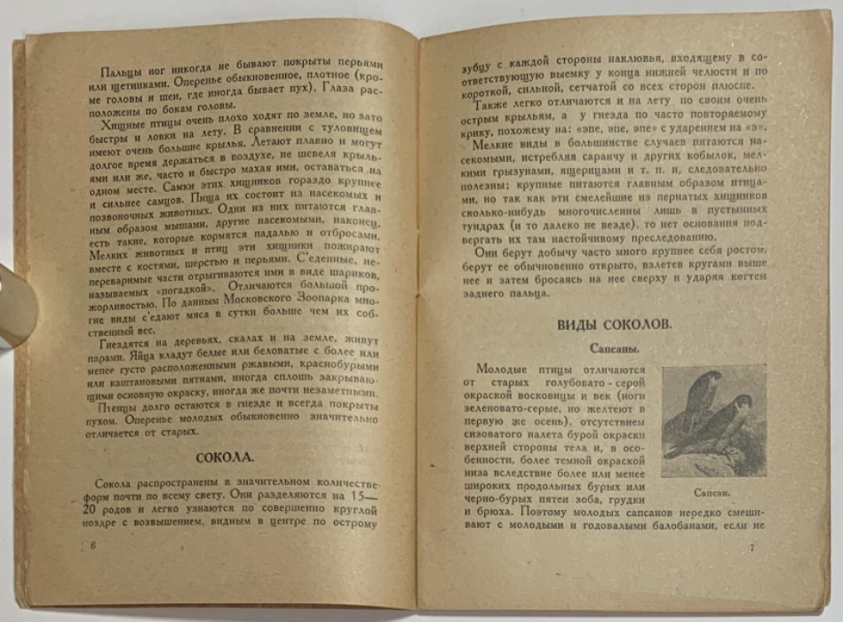 Новиков Б.М., Чирков. Хищные птицы и борьба с ними.