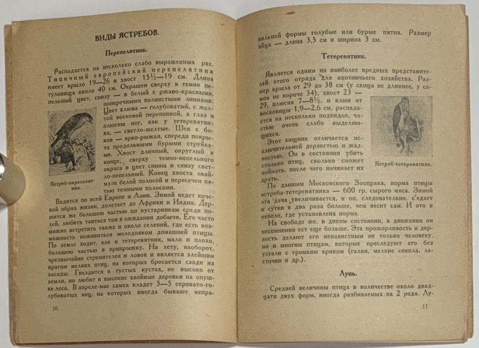 Новиков Б.М., Чирков. Хищные птицы и борьба с ними.