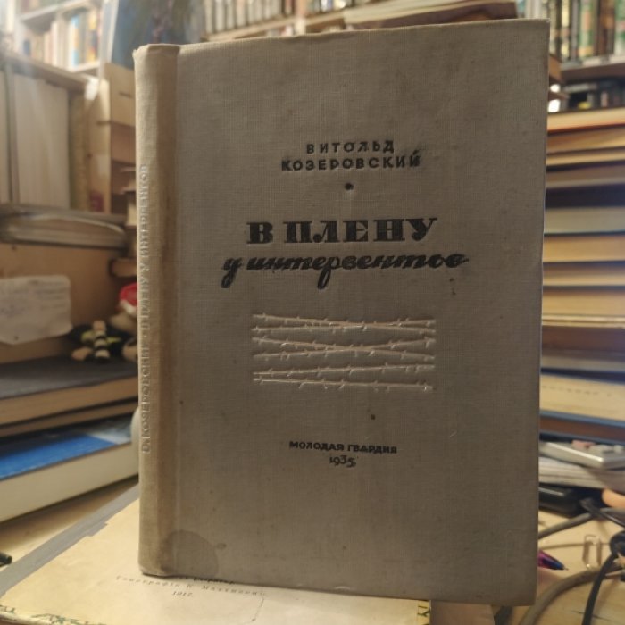 Козеровский Витольд. В плену у интервентов.