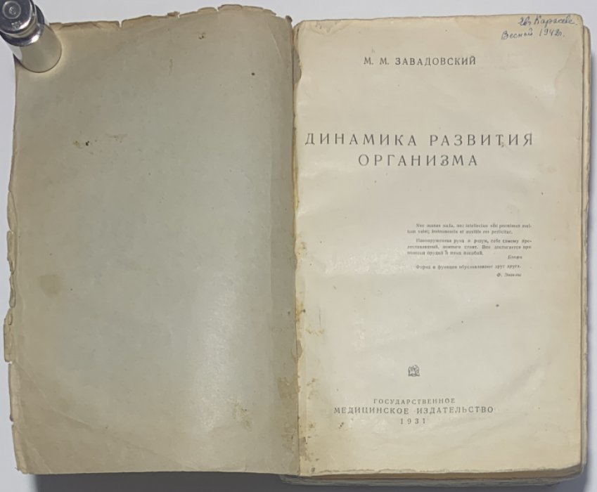 Завадовский М.М. Динамика развития организма.