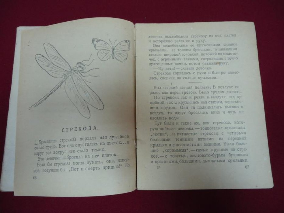 Лукьянская В.И. У воды.