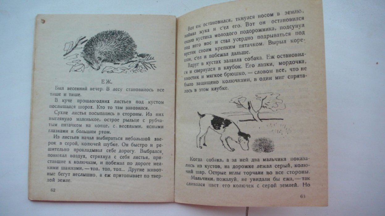 Лукьянская В. В лесу.