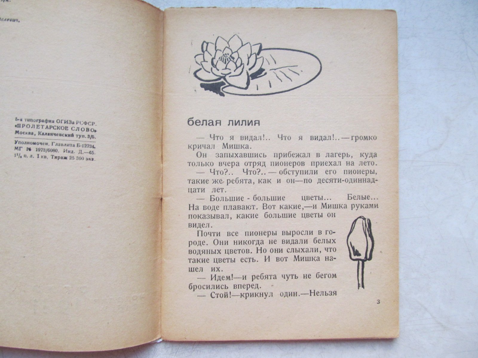 Плавильщиков Н. Климат командир. Рисунки и обложка Г. Ечеистова