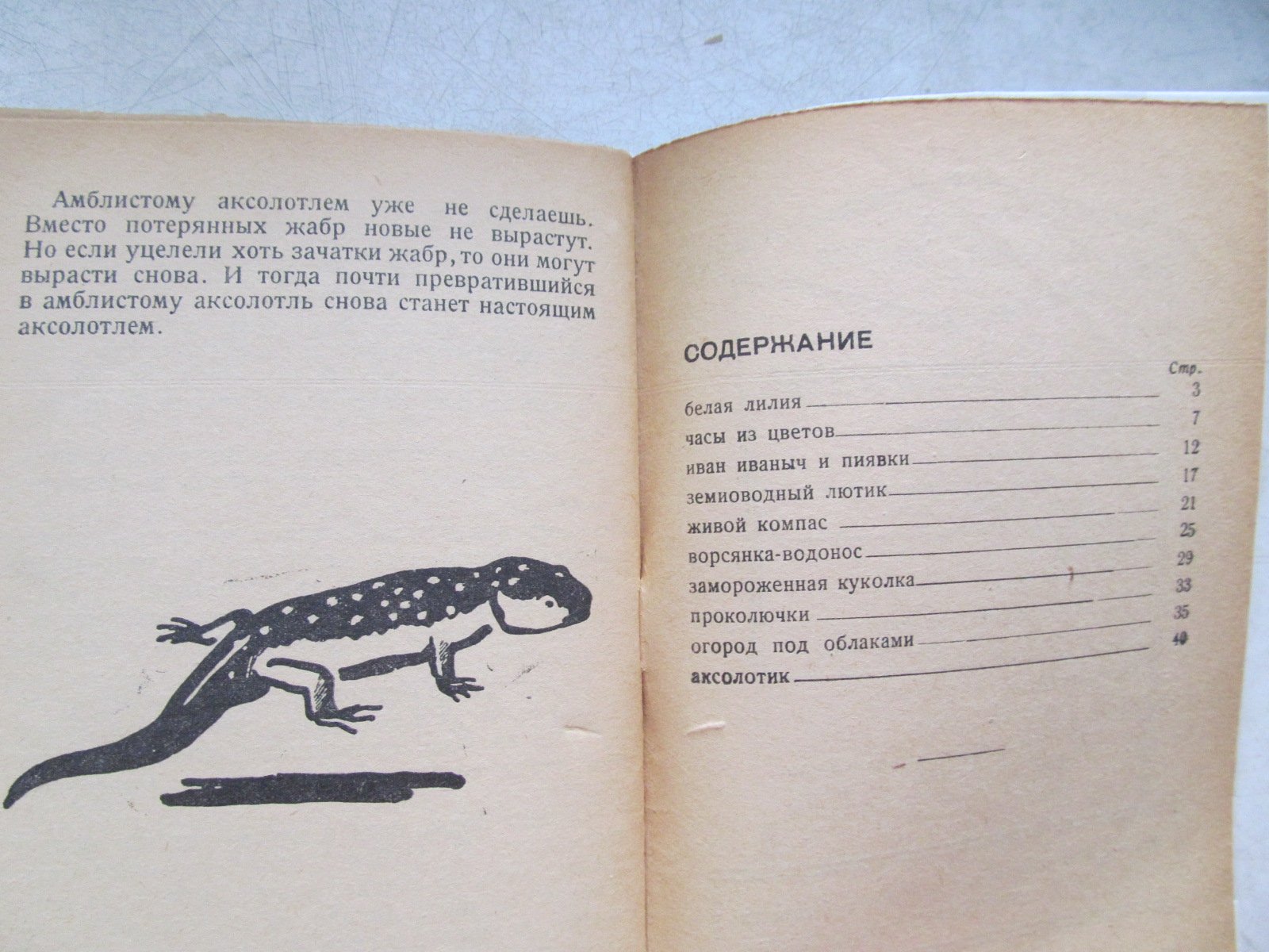 Плавильщиков Н. Климат командир. Рисунки и обложка Г. Ечеистова