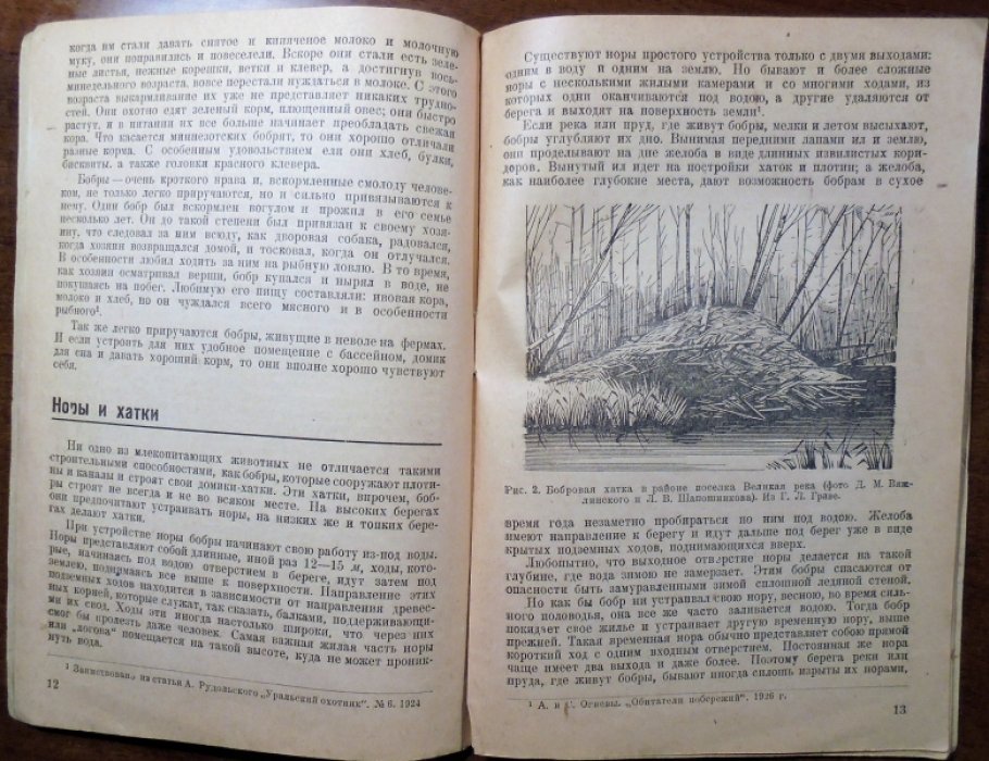 Львов В.Н. Бобры и их разведение.