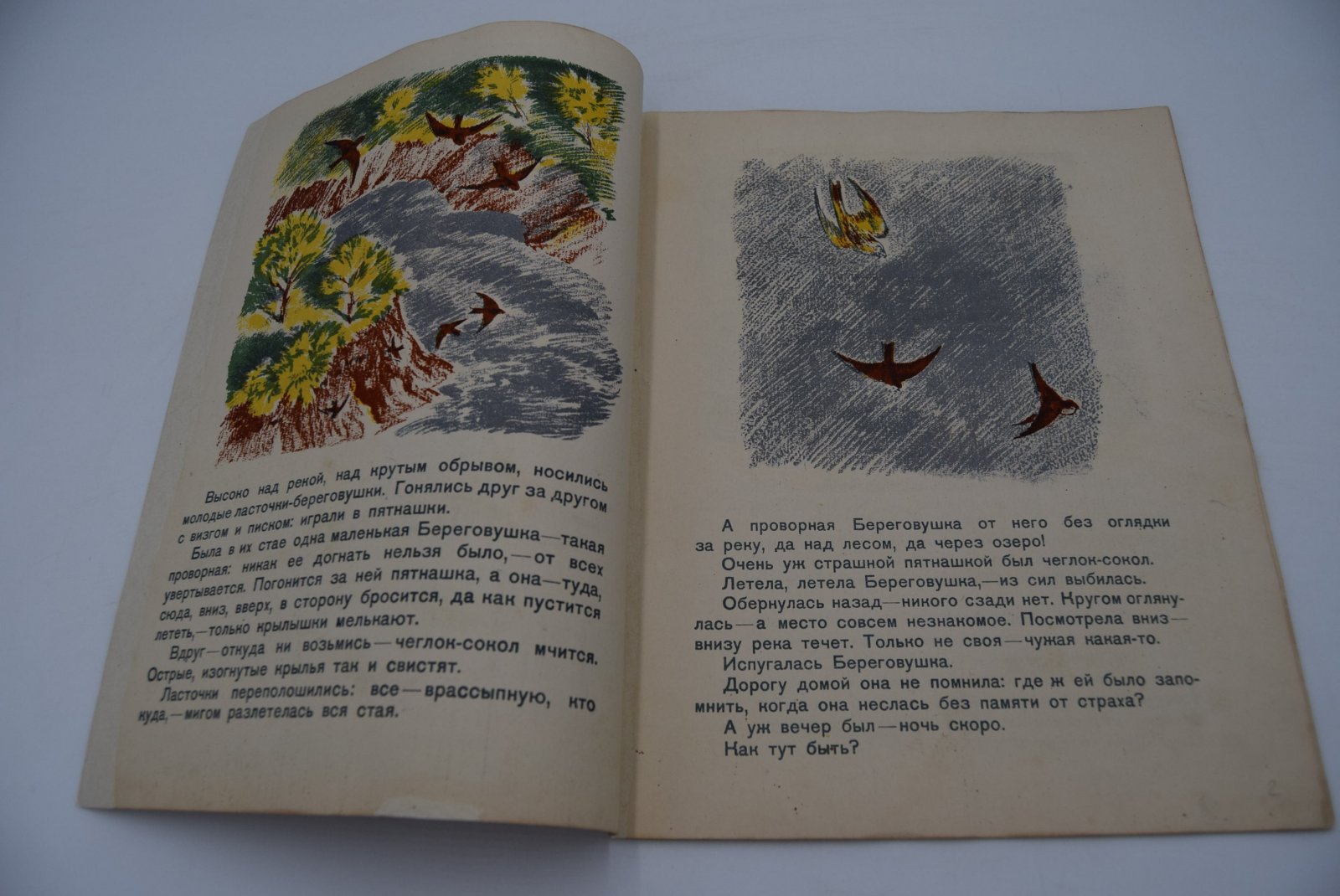 Виталий Бианки. Лесные домишки.