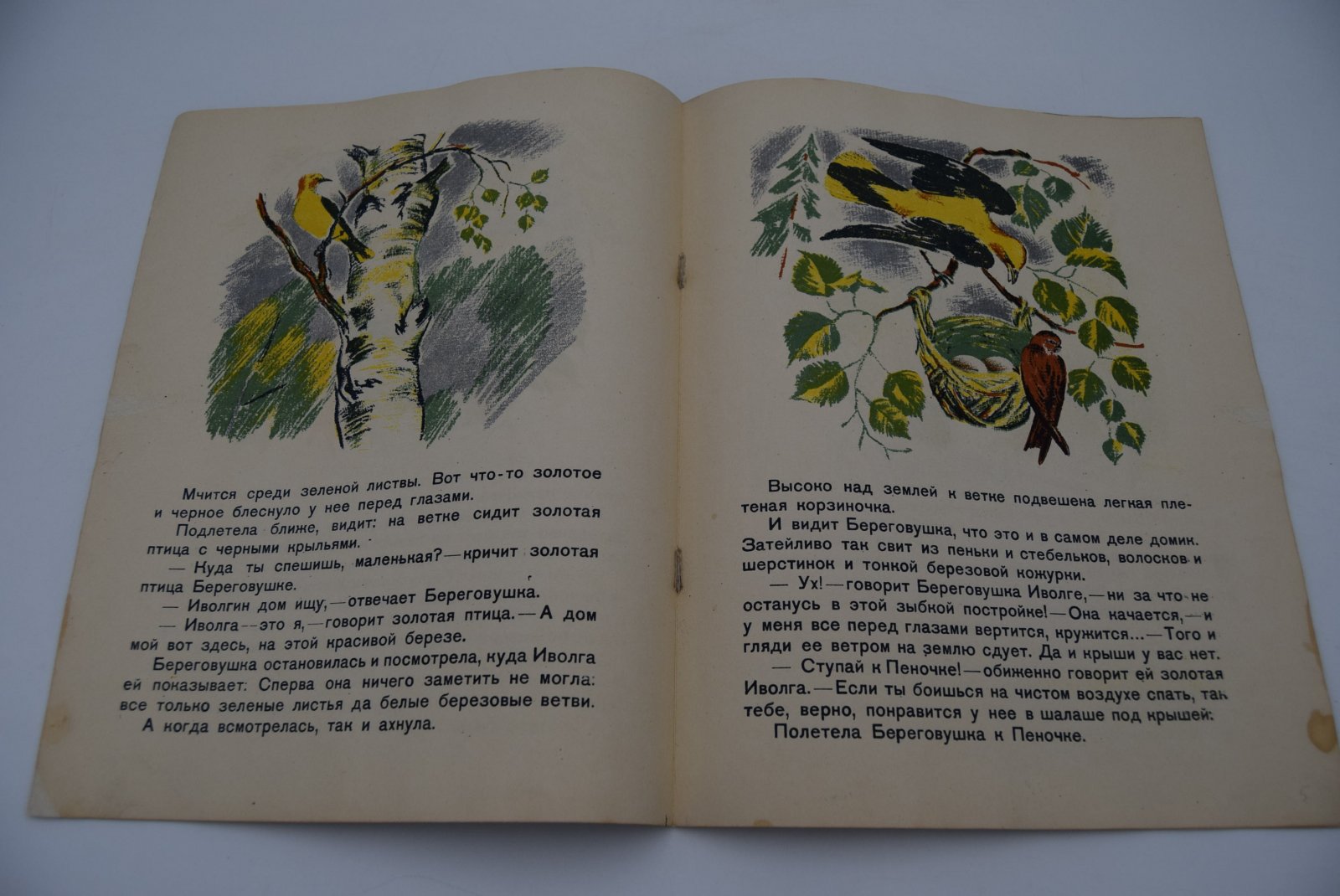 Виталий Бианки. Лесные домишки.