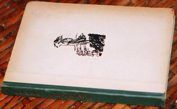Сейфуллина Лидия Николаевна. Виринея.
