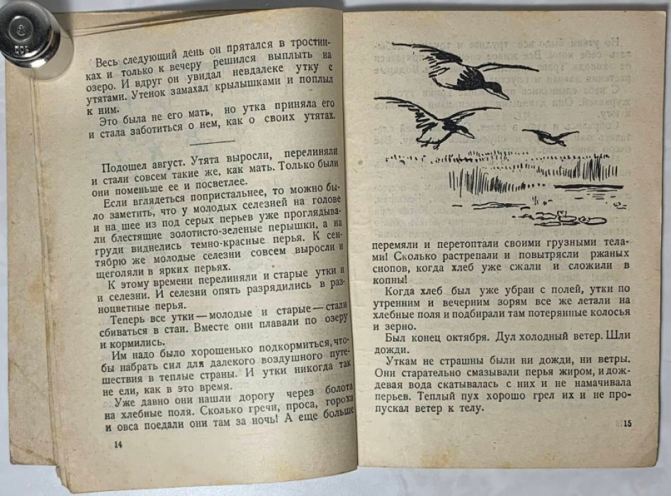 Лукьянская В.И. У воды.