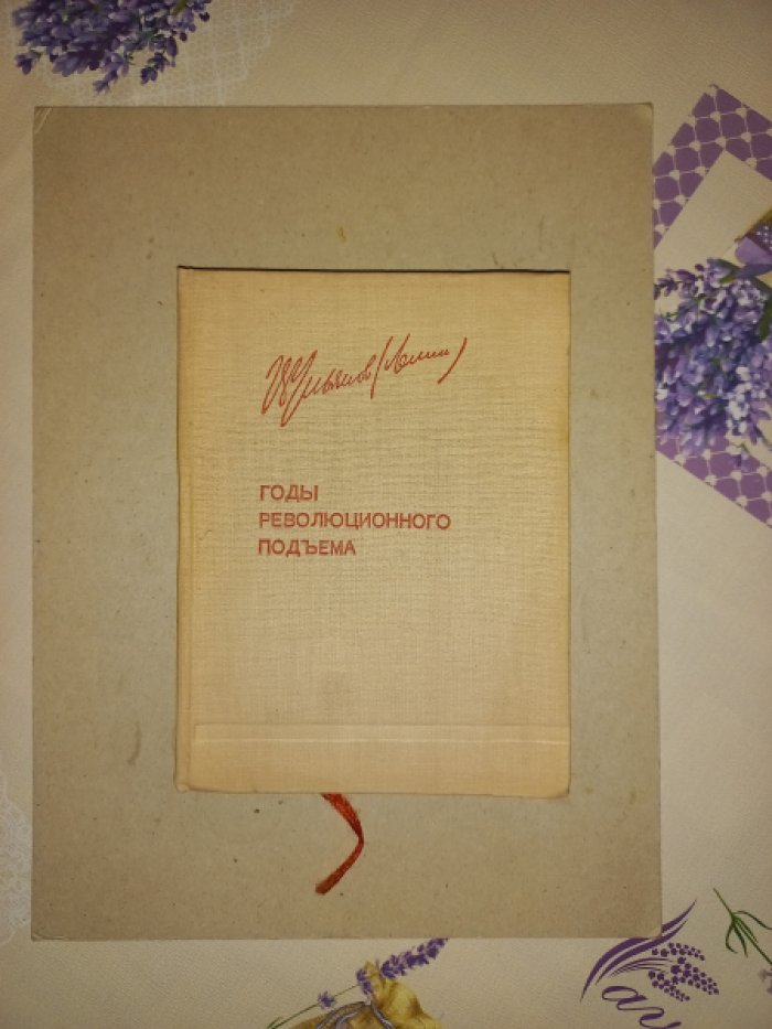 Ленин Владимир Ильич. Годы революционного подъема.