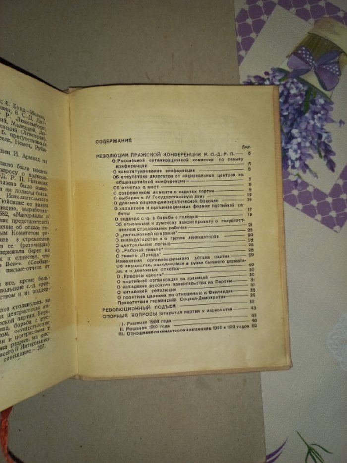 Ленин Владимир Ильич. Годы революционного подъема.