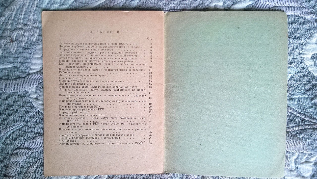 Шнеер Д.Н. Что должен знать лесоруб и сплавщик о законе от 4 июня 1926 г. об условиях труда на сезонных работах.