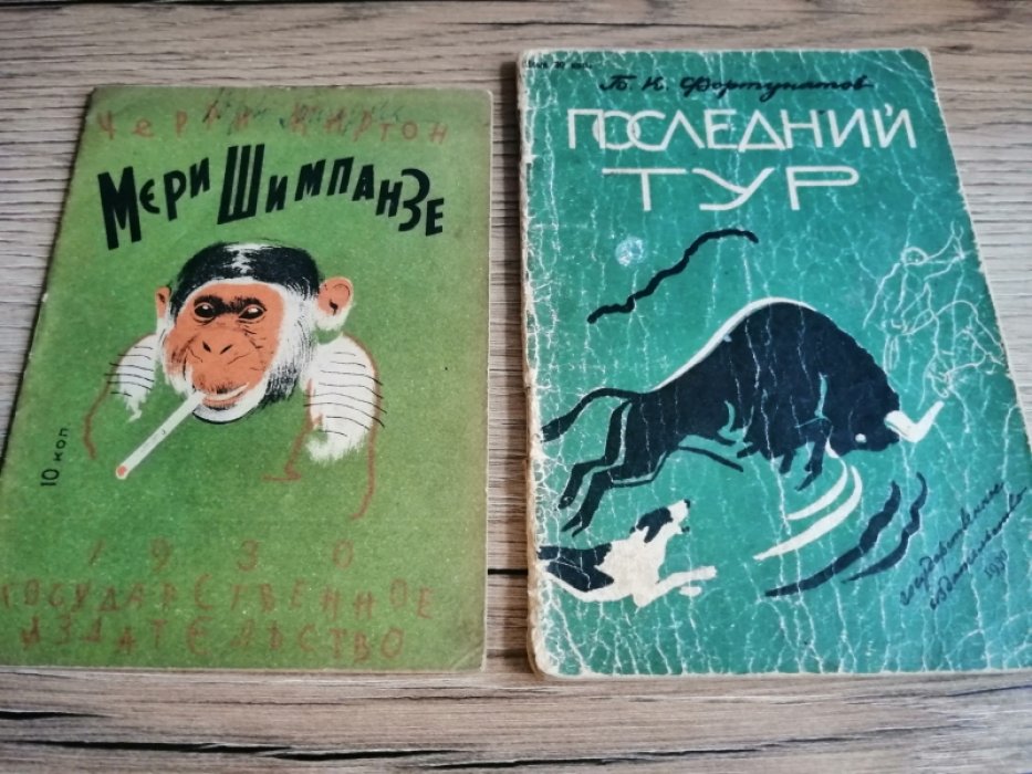 Киртон Ч. Мэри Шимпанзе.