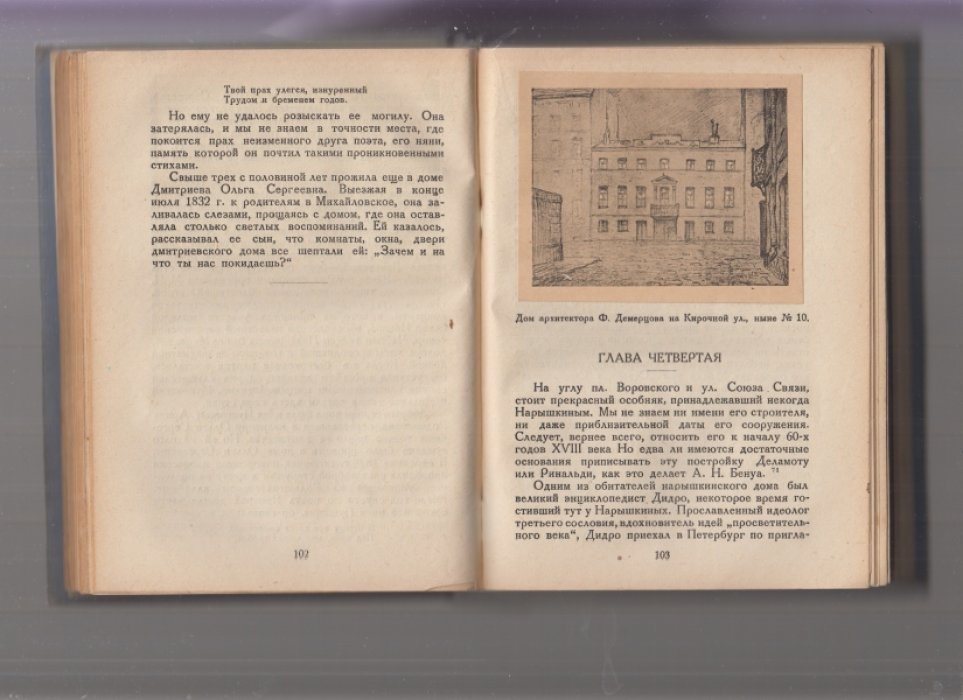 Яцевич Андрей. Пушкинский Петербург.