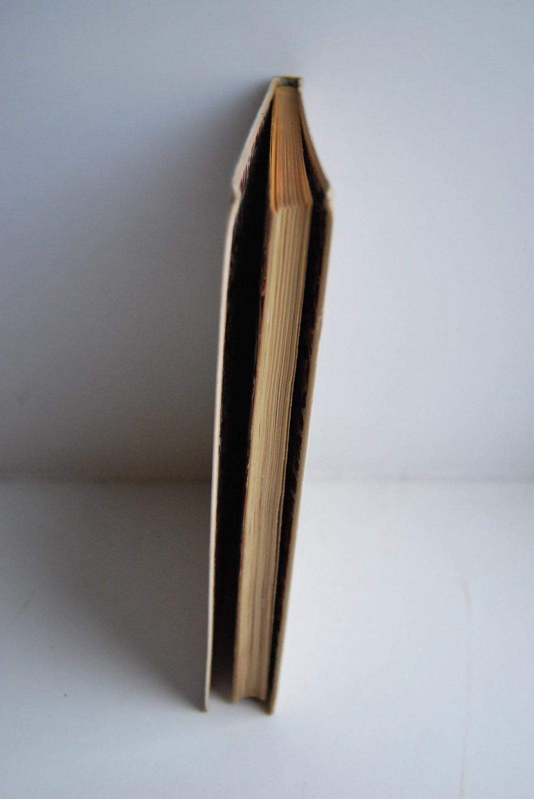Короленко В.Г. Записная книжка 1879.