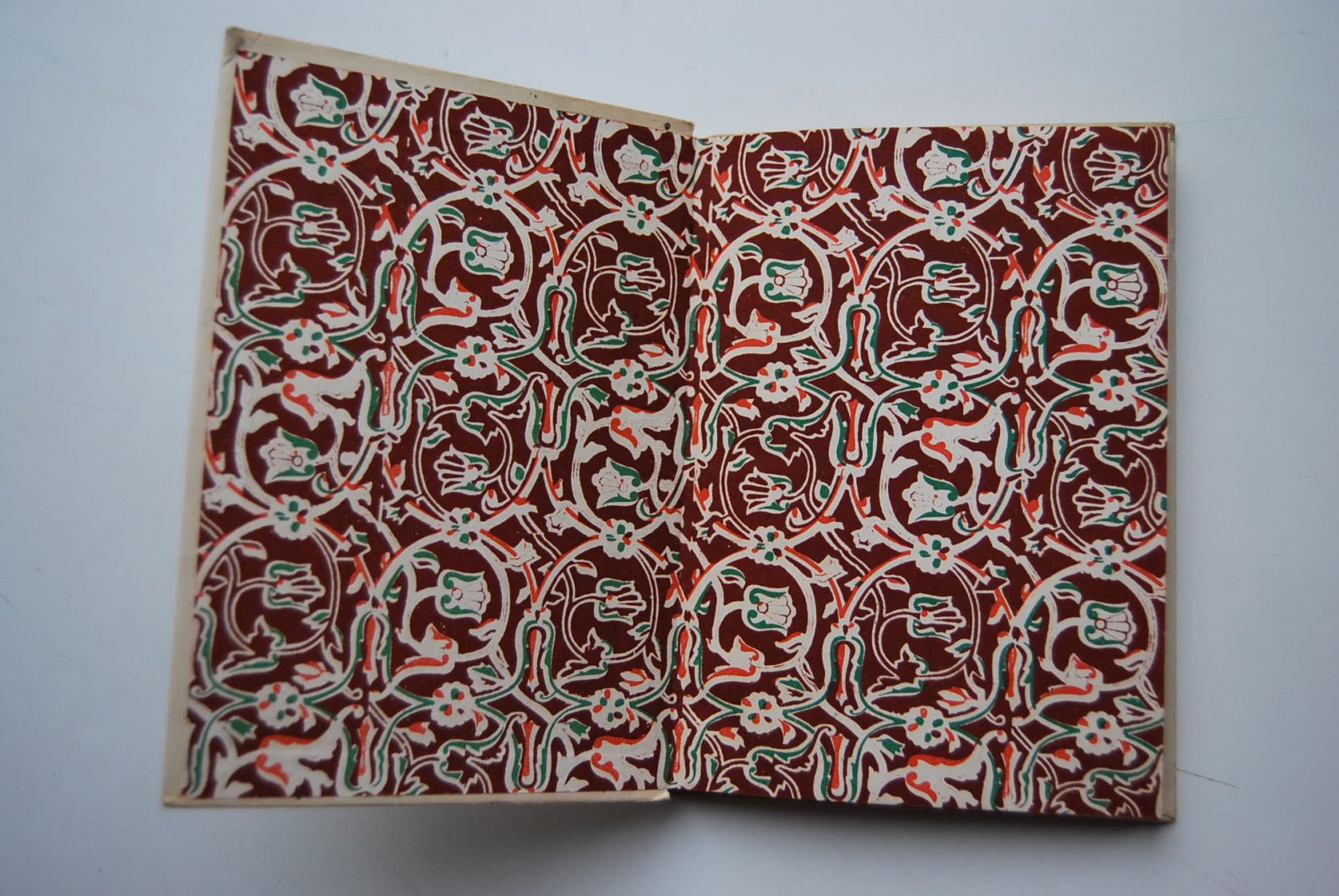 Короленко В.Г. Записная книжка 1879.