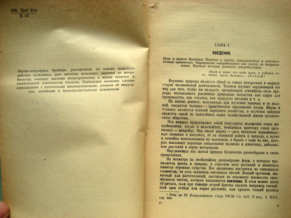 Беликов П. Бактерии и значение их в жизни человека.