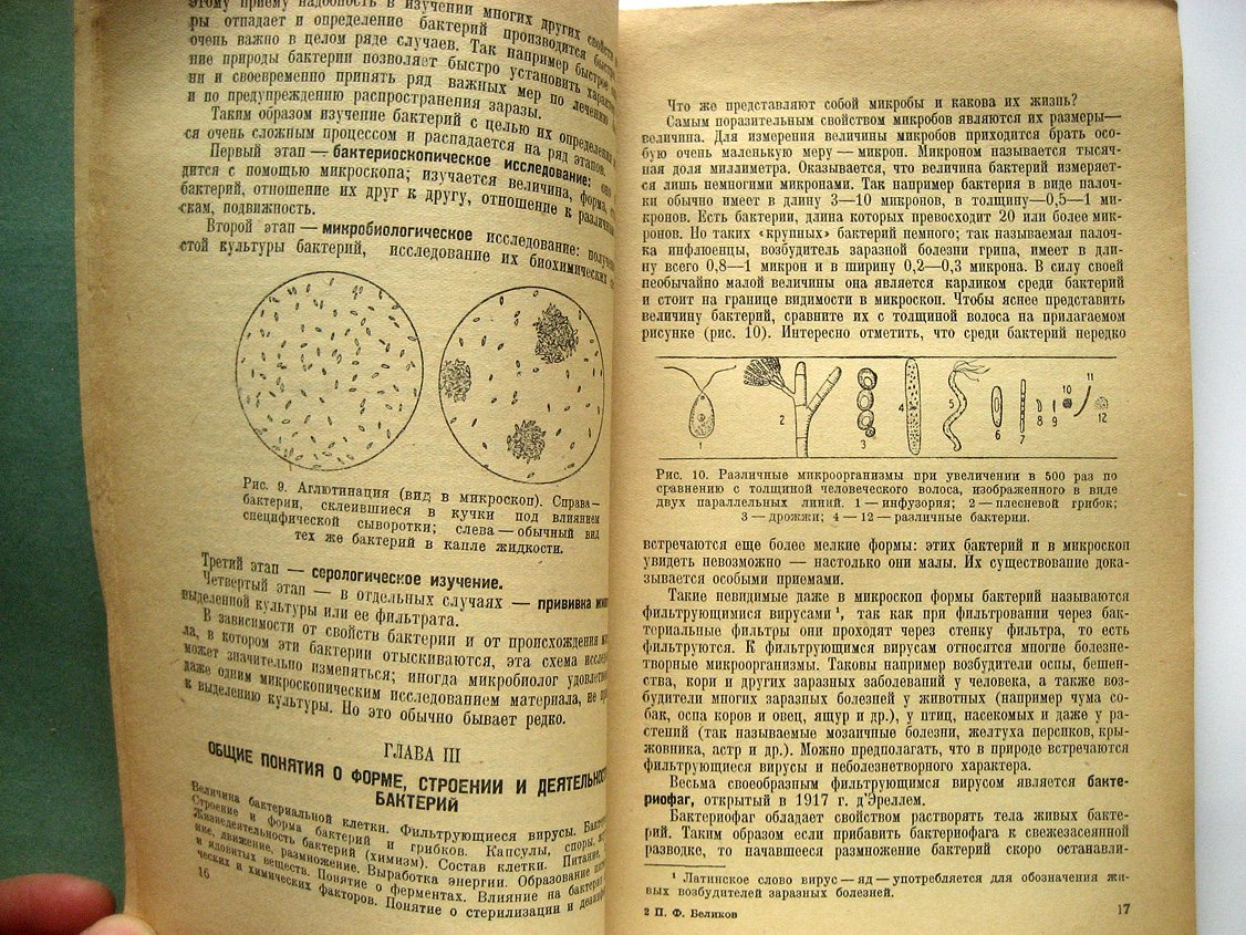 Беликов П. Бактерии и значение их в жизни человека.