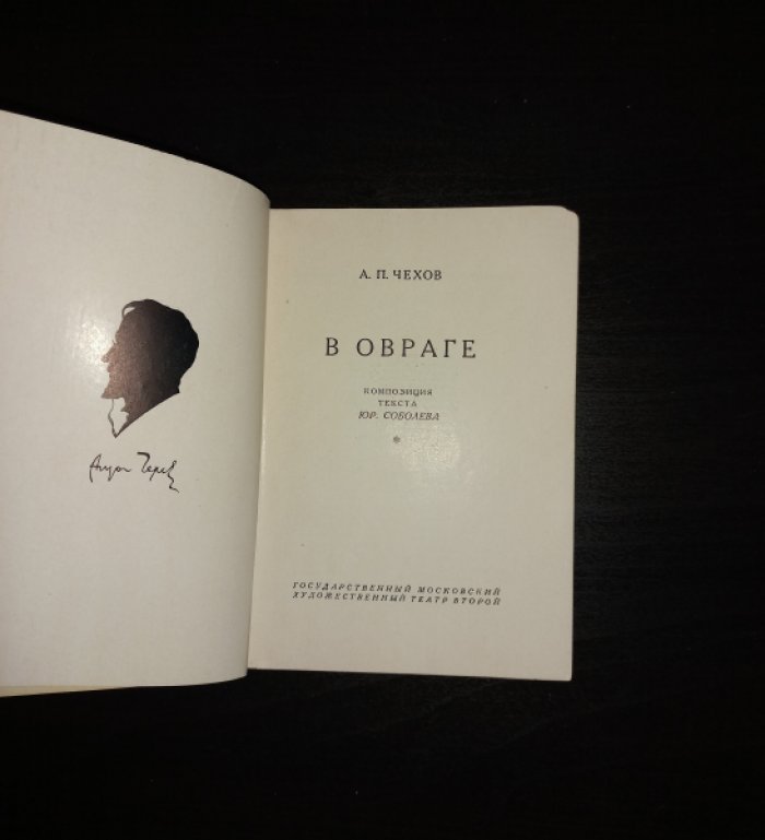Чехов Антон Павлович. В овраге.