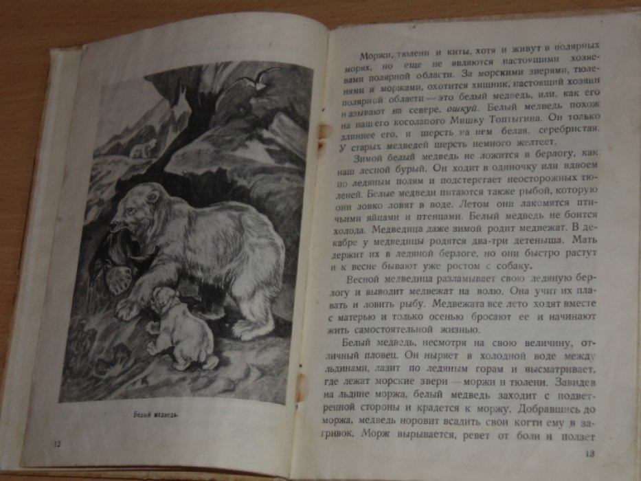 Лебедев Н.К. Архангельские робинзоны.