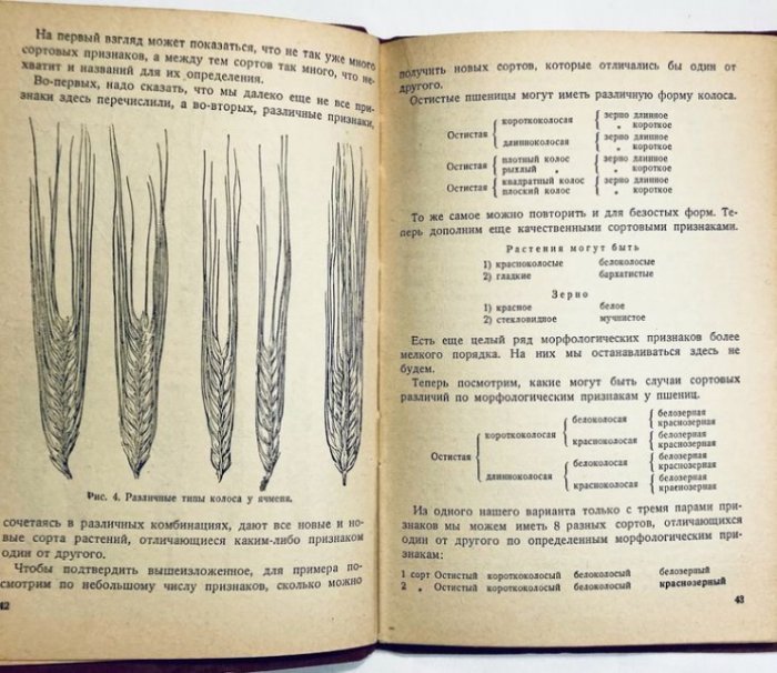 Сизов И.А. Селекция и семеноводство зерновых культур.