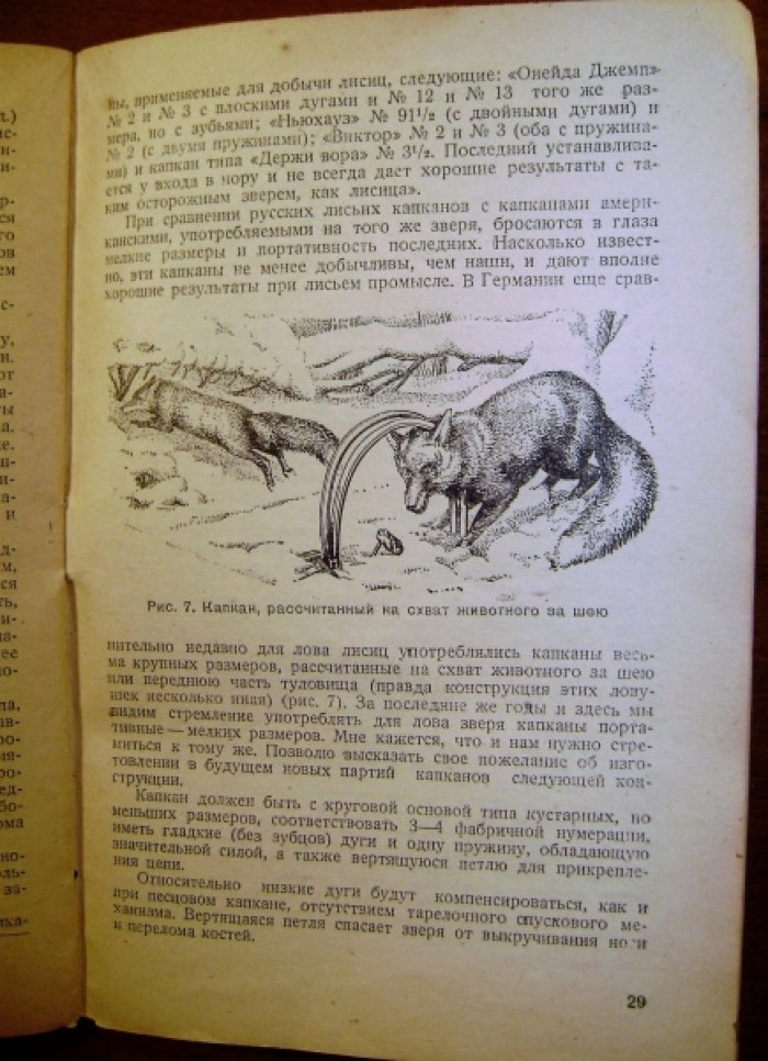 Спангенберг Е.П. Капканы на песца, лисицу, медведя.