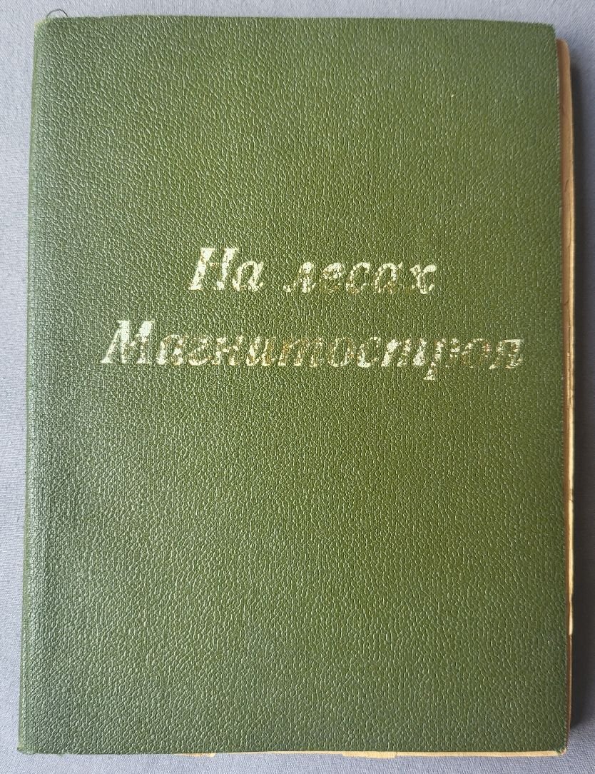 Нариньяни С. На лесах Магнитостроя.